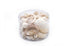 pearl champagne seashell pack
